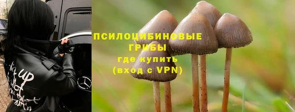 PSILOCYBIN Аркадак